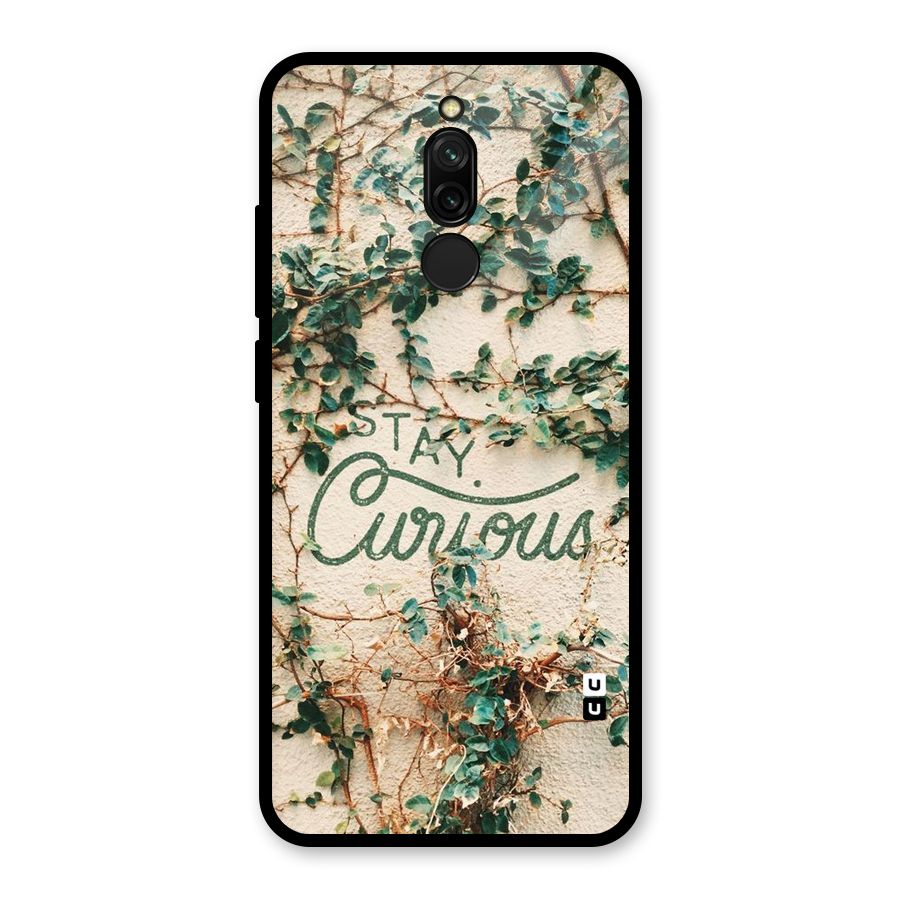 Stay Curious Glass Back Case for Redmi 8