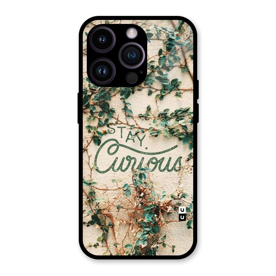 Stay Curious Glass Back Case for iPhone 14 Pro