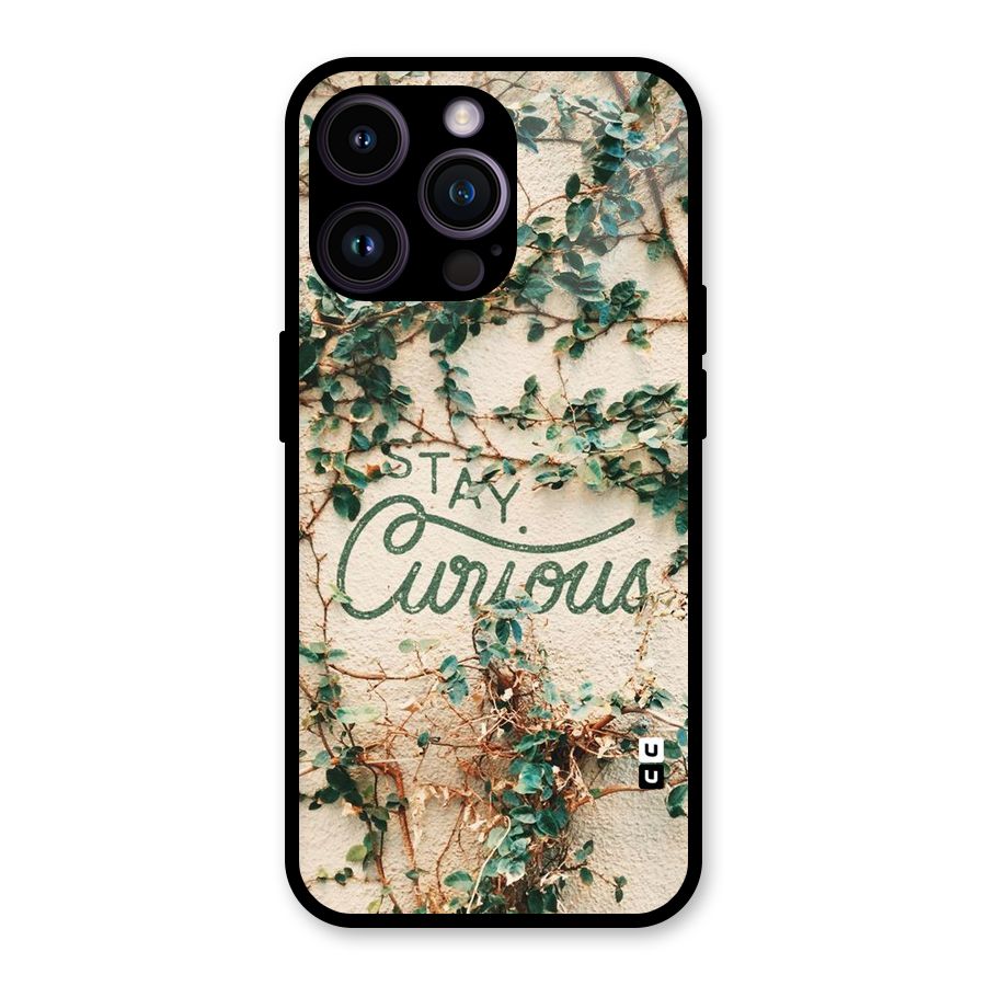 Stay Curious Glass Back Case for iPhone 14 Pro Max
