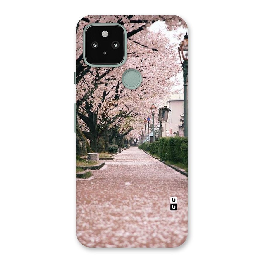 Street In Pink Flowers Back Case for Google Pixel 5