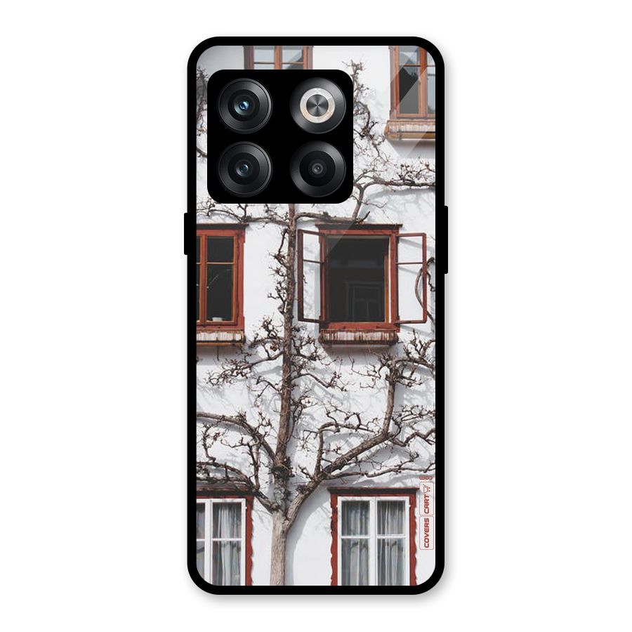 Tree House Glass Back Case for OnePlus 10T