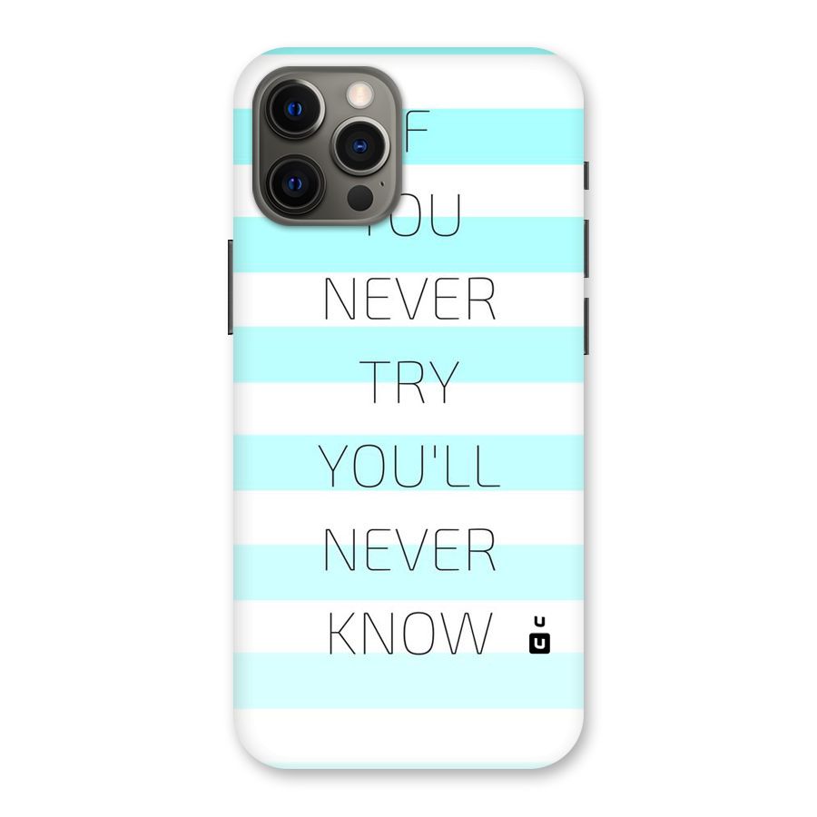 Try Know Back Case for iPhone 12 Pro Max
