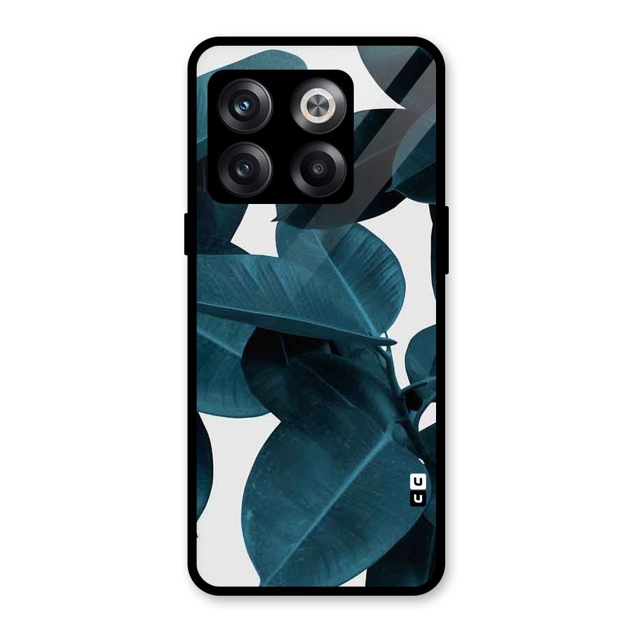 Very Aesthetic Leafs Glass Back Case for OnePlus 10T