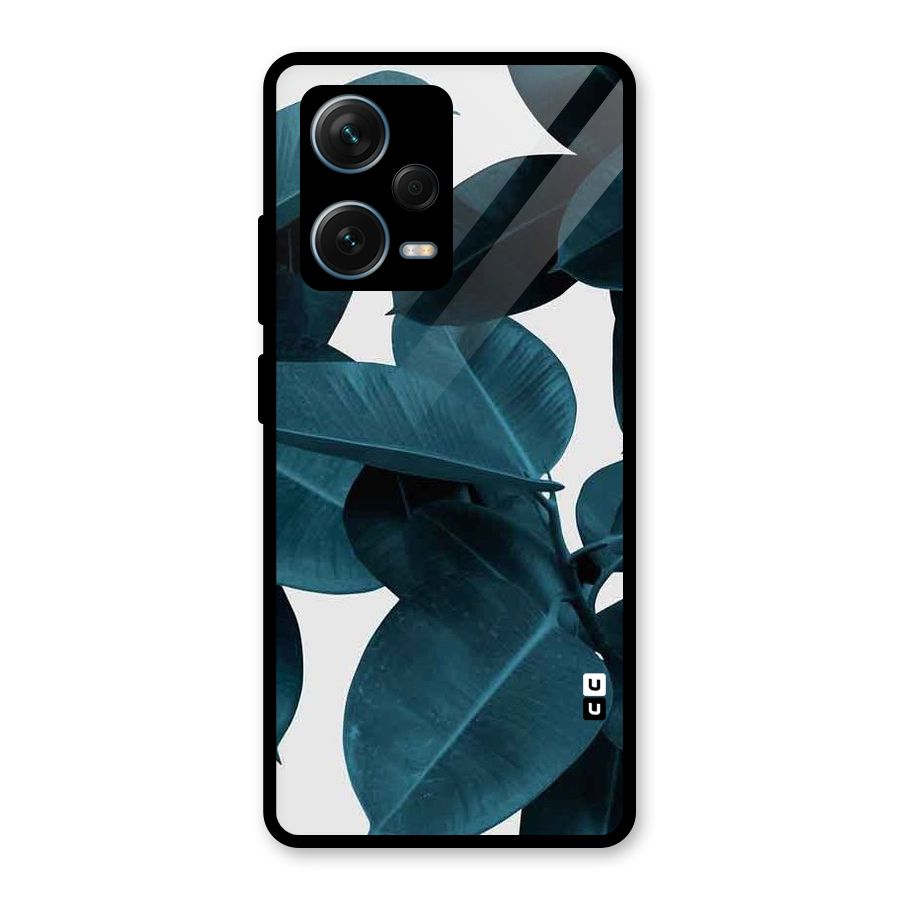 Very Aesthetic Leafs Glass Back Case for Redmi Note 12 Pro Plus 5G