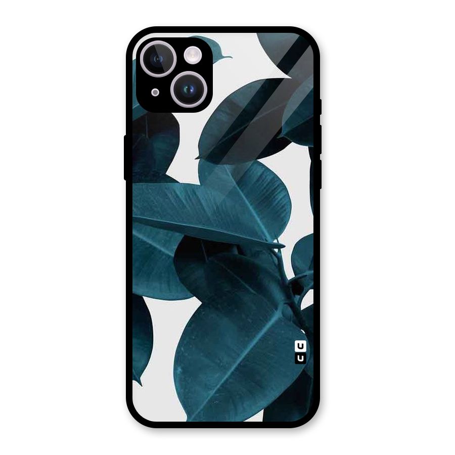 Very Aesthetic Leafs Glass Back Case for iPhone 14 Plus