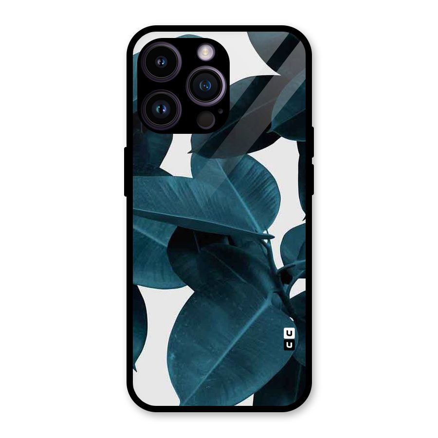 Very Aesthetic Leafs Glass Back Case for iPhone 14 Pro Max
