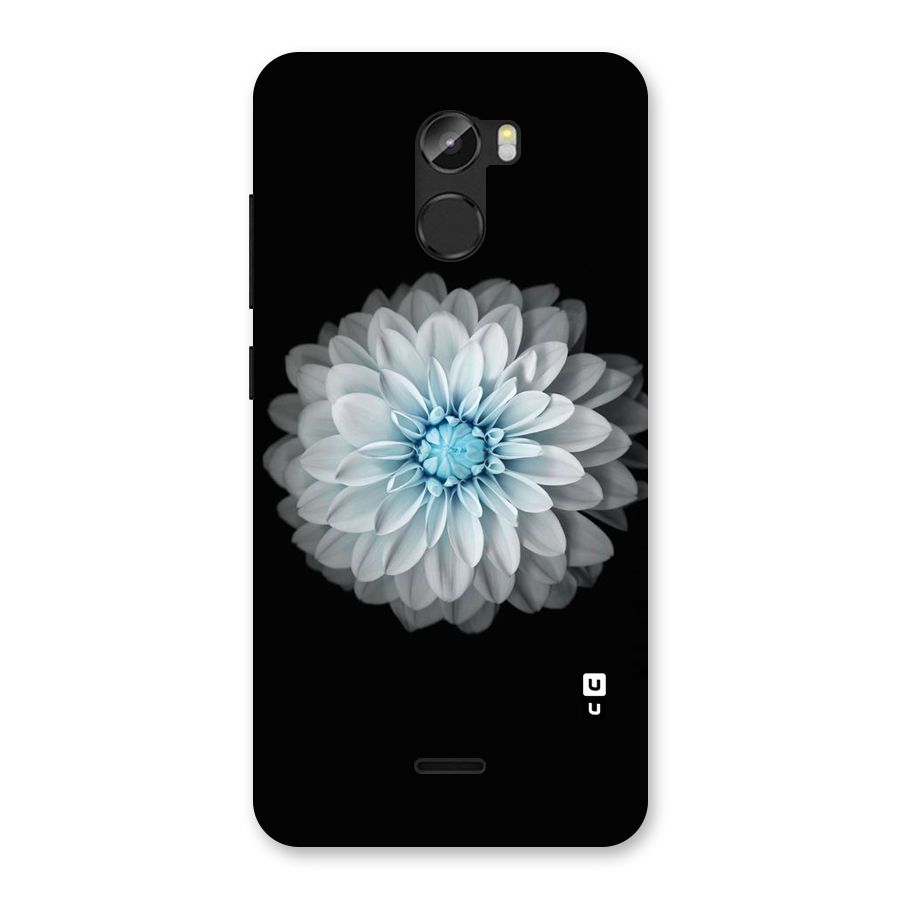White Bloom Back Case for Gionee X1