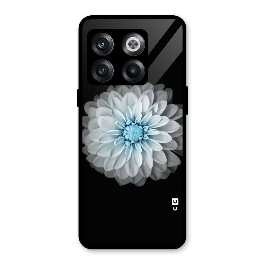 White Bloom Glass Back Case for OnePlus 10T