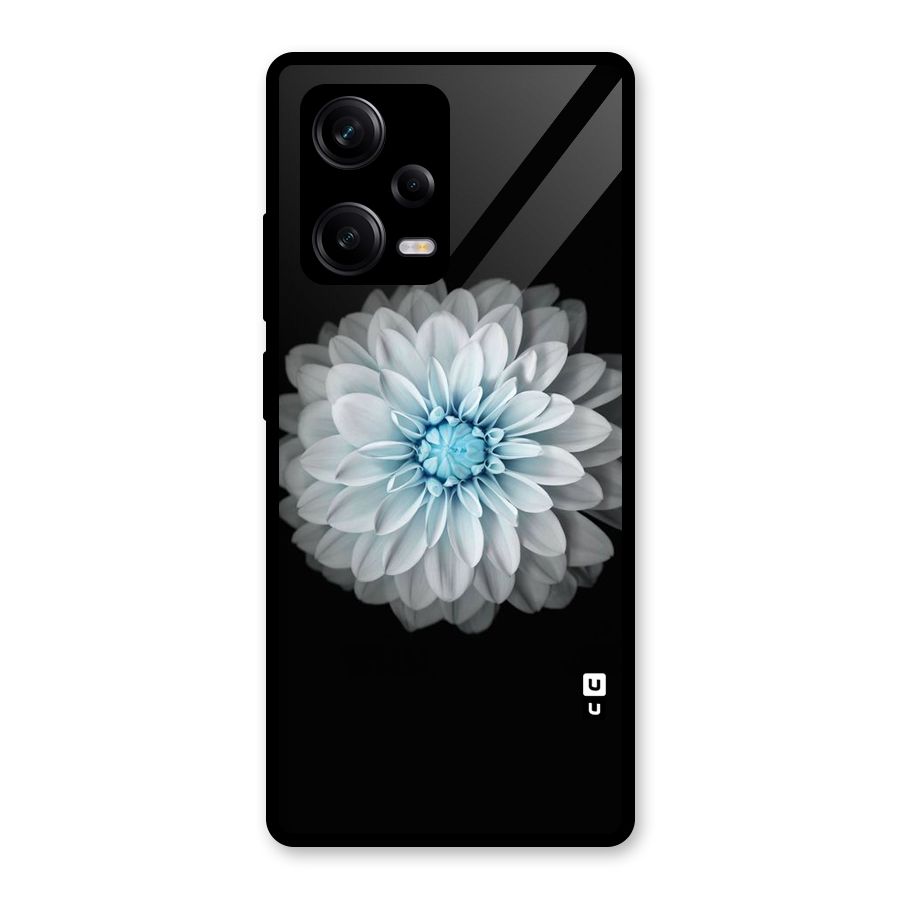 White Bloom Glass Back Case for Redmi Note 12 Pro