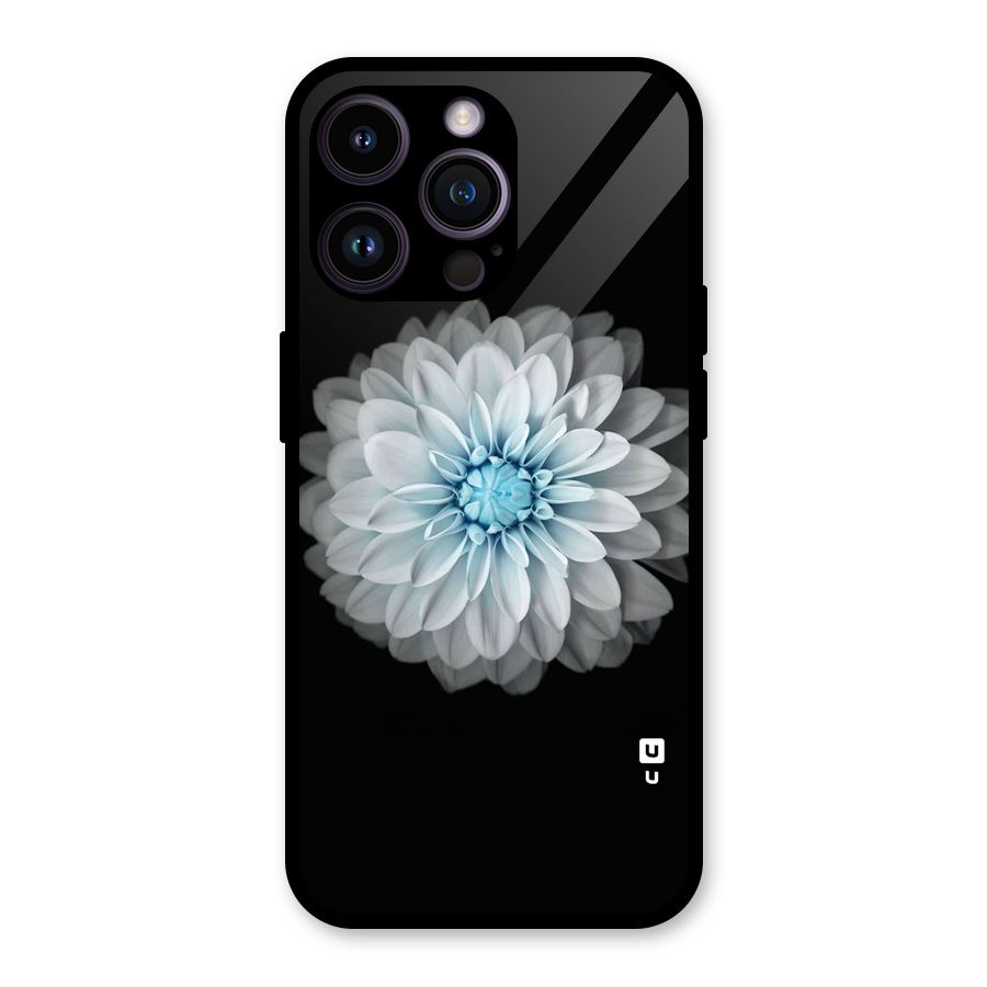 White Bloom Glass Back Case for iPhone 14 Pro Max