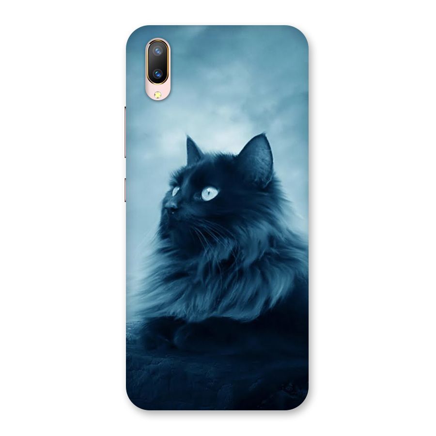Wild Forest Cat Back Case for Vivo V11 Pro