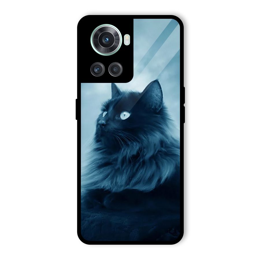 Wild Forest Cat Glass Back Case for OnePlus 10R