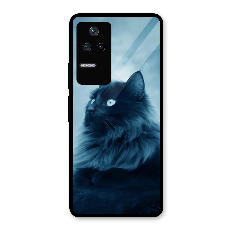 Wild Forest Cat Glass Back Case for Poco F4 5G