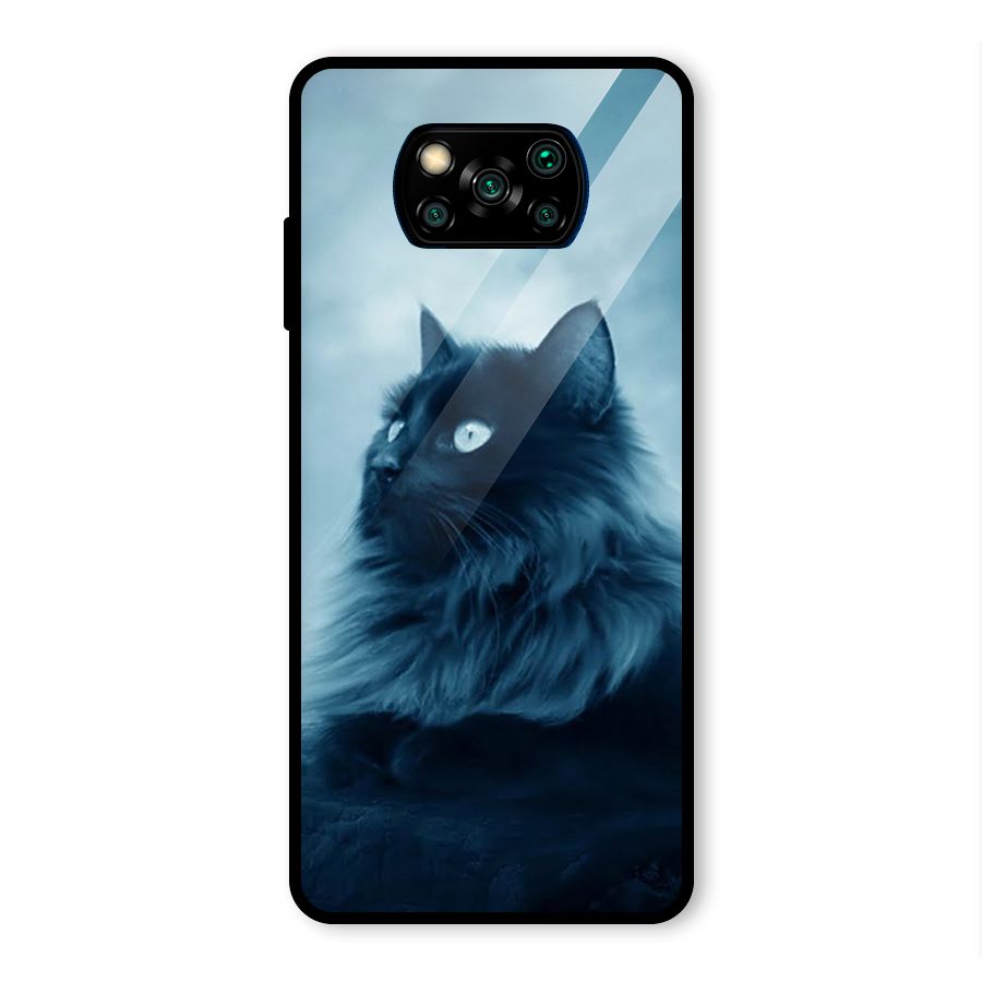 Wild Forest Cat Glass Back Case for Poco X3 Pro
