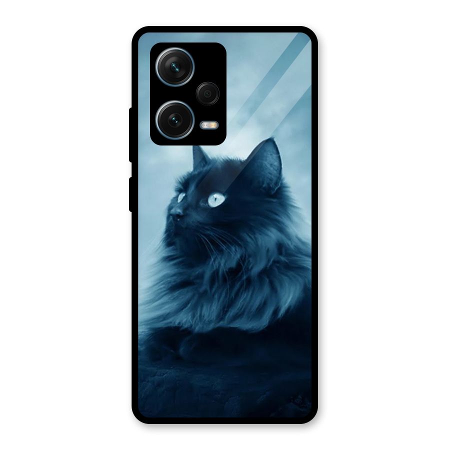 Wild Forest Cat Glass Back Case for Redmi Note 12 Pro Plus 5G