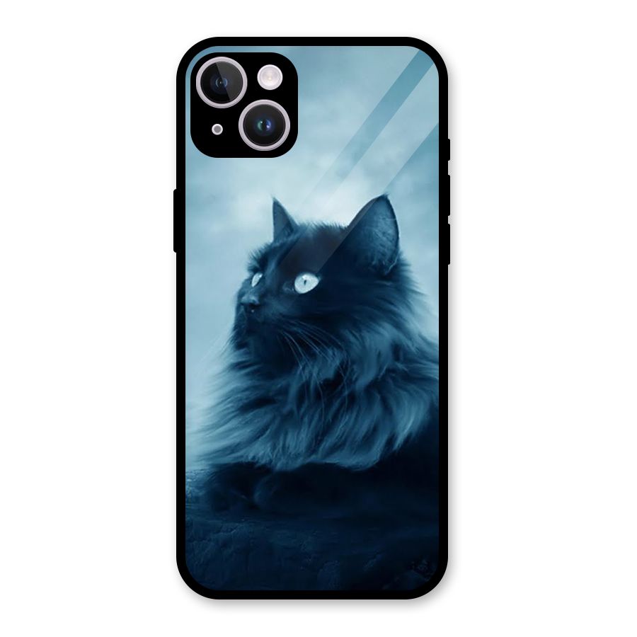 Wild Forest Cat Glass Back Case for iPhone 14 Plus