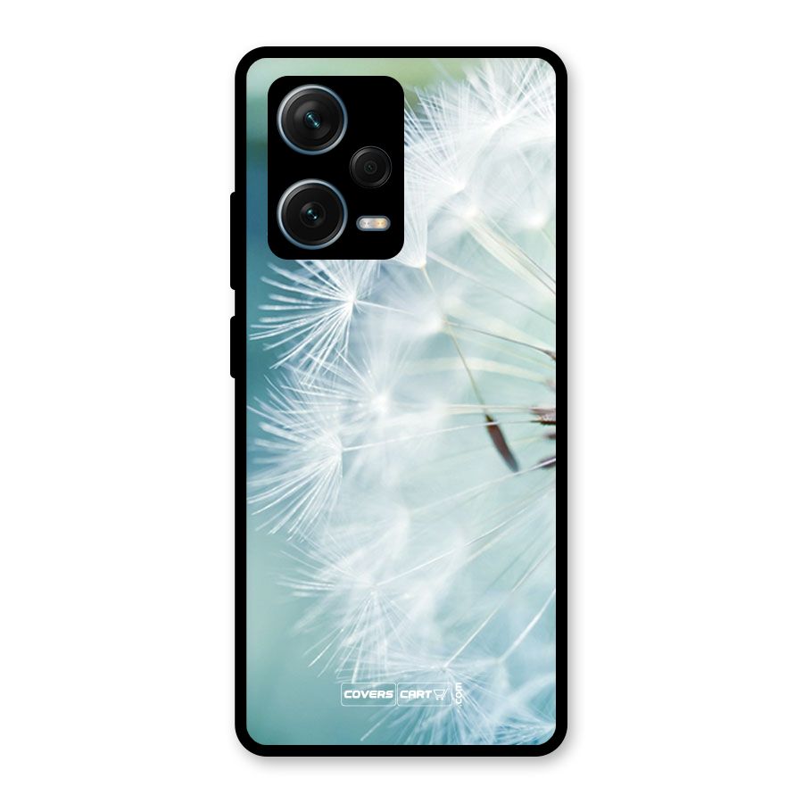 Wish Floral Glass Back Case for Redmi Note 12 Pro Plus 5G