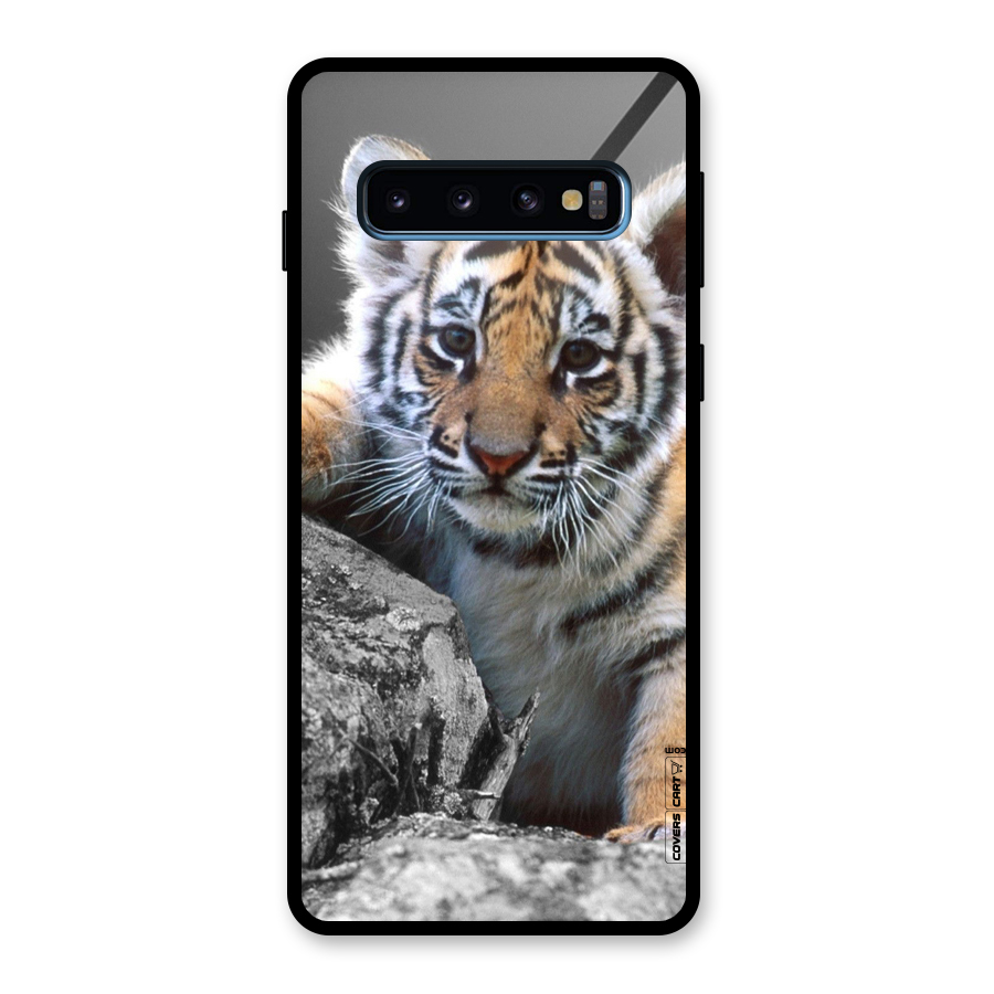 Animal Beauty Glass Back Case for Galaxy S10
