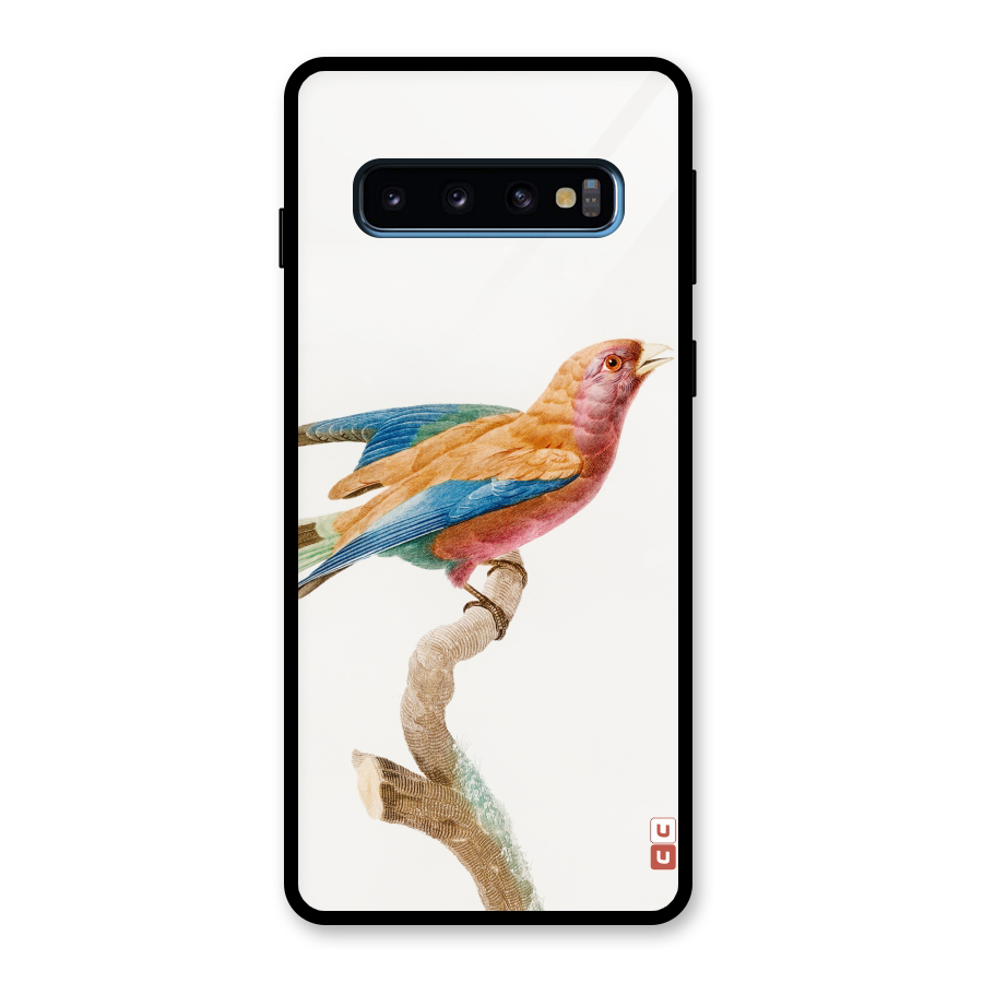 Beautiful Bird Glass Back Case for Galaxy S10