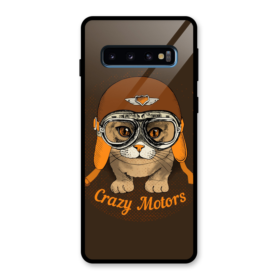 Crazy cat Glass Back Case for Galaxy S10