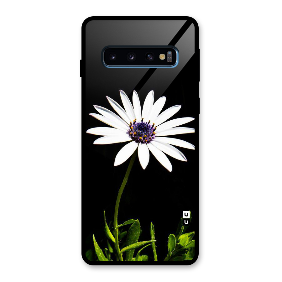 Flower White Spring Glass Back Case for Galaxy S10
