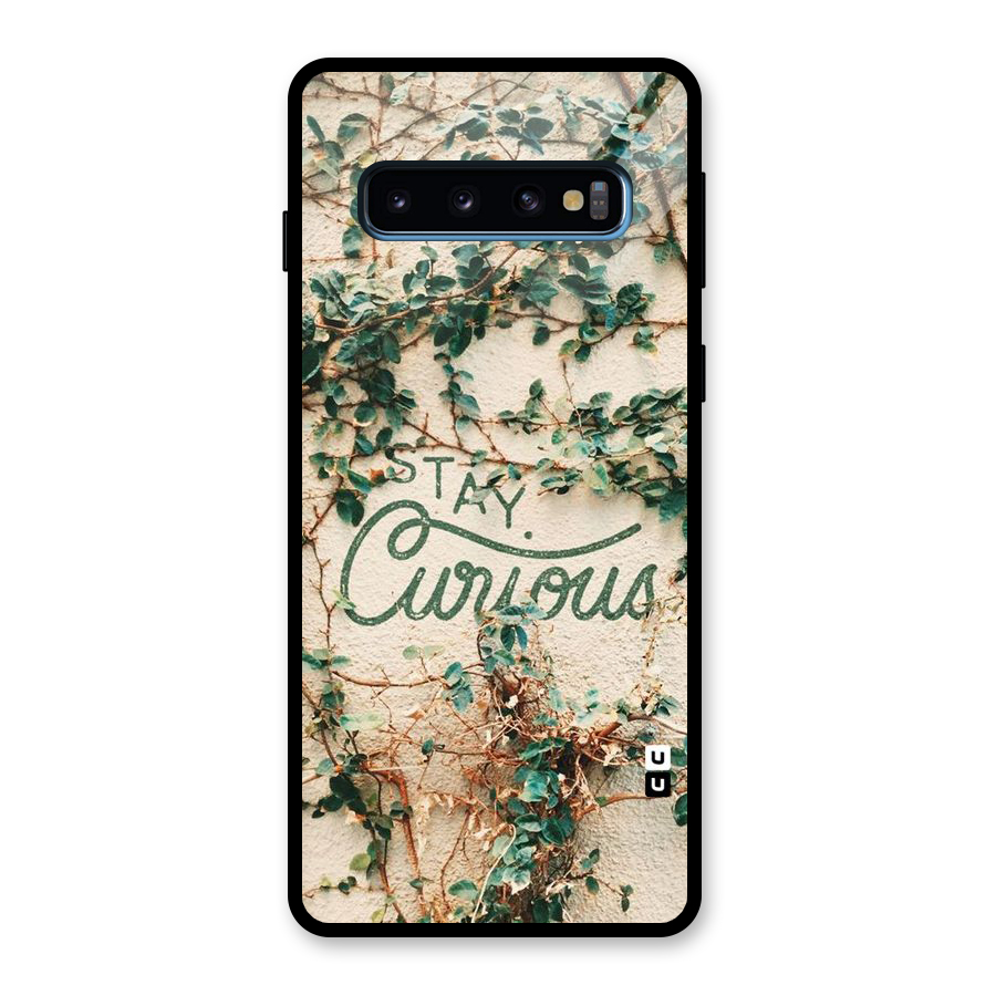 Stay Curious Glass Back Case for Galaxy S10