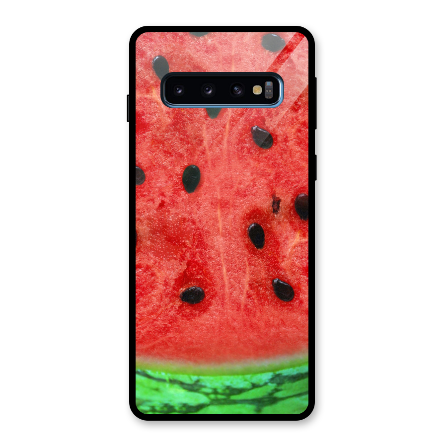 Watermelon Design Glass Back Case for Galaxy S10