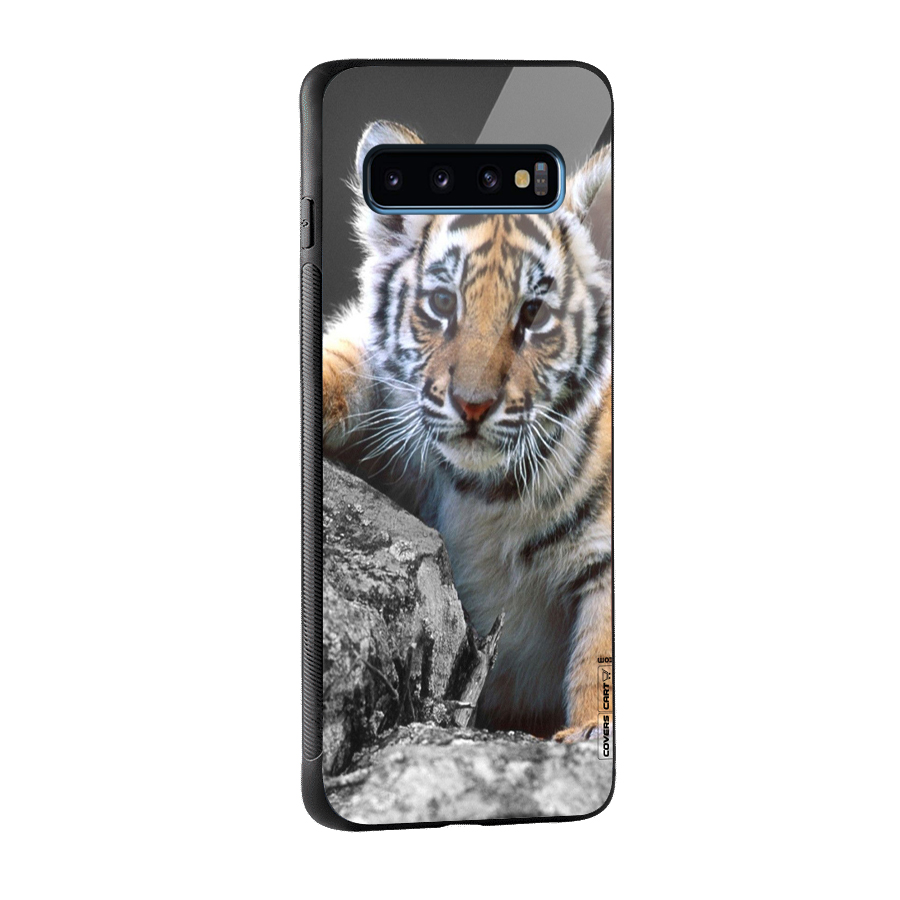 Animal Beauty Glass Back Case for Galaxy S10