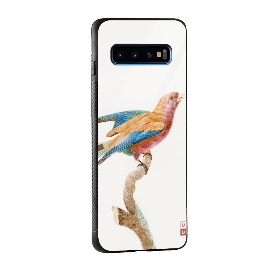 Beautiful Bird Glass Back Case for Galaxy S10