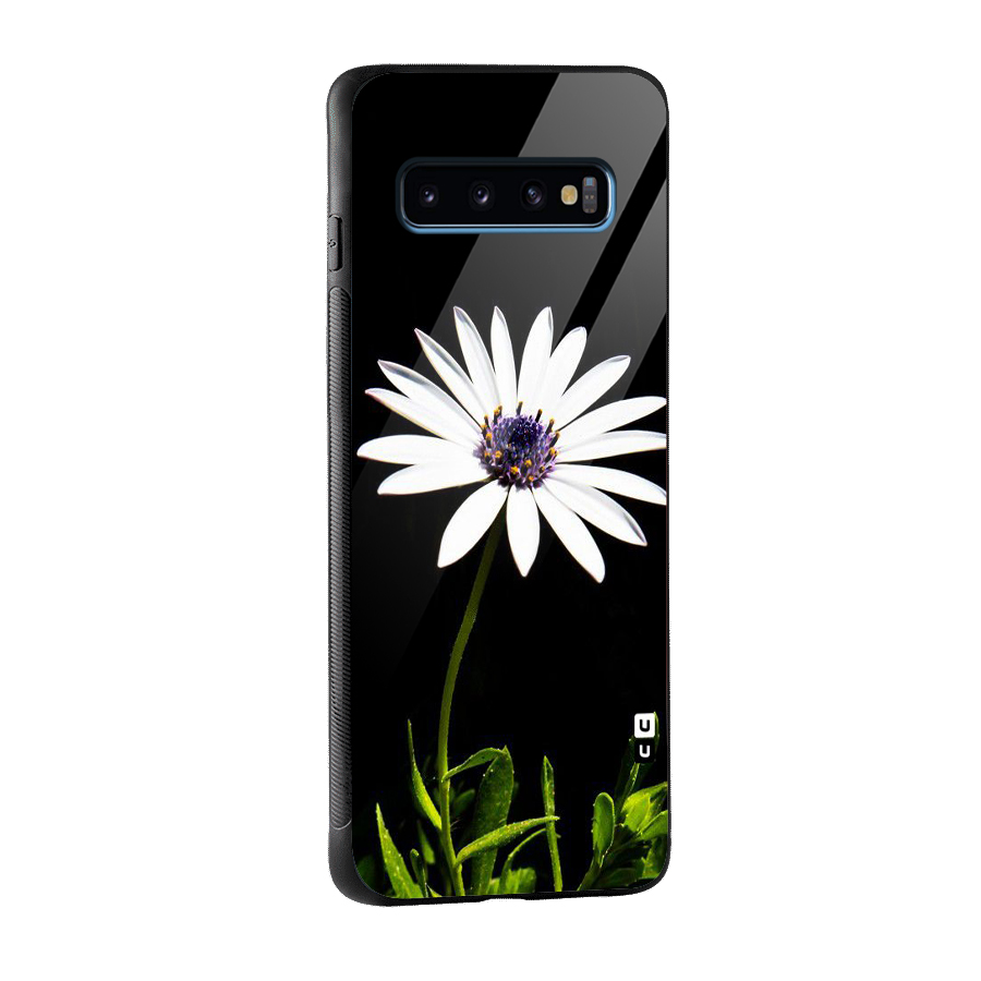 Flower White Spring Glass Back Case for Galaxy S10