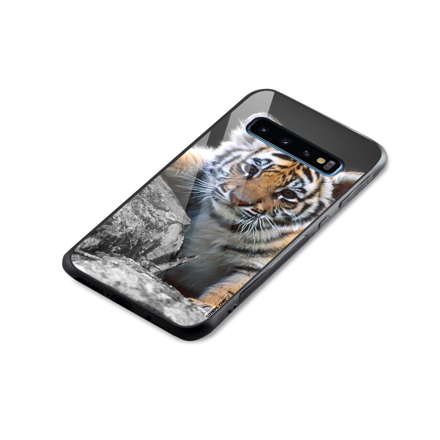 Animal Beauty Glass Back Case for Galaxy S10