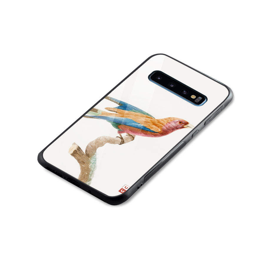Beautiful Bird Glass Back Case for Galaxy S10