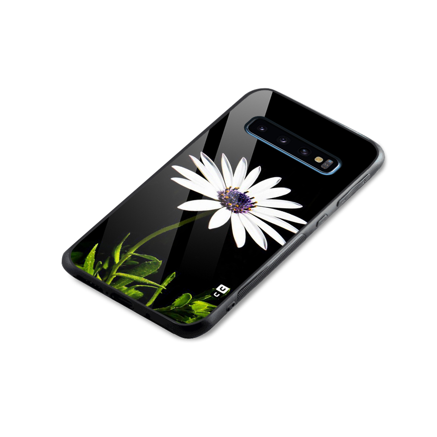 Flower White Spring Glass Back Case for Galaxy S10