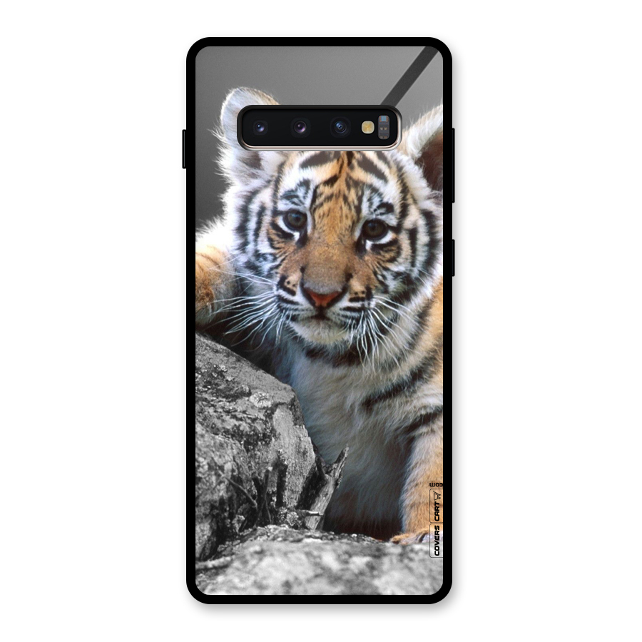 Animal Beauty Glass Back Case for Galaxy S10 Plus