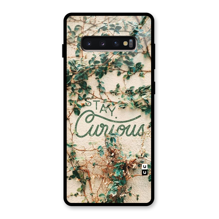 Stay Curious Glass Back Case for Galaxy S10 Plus