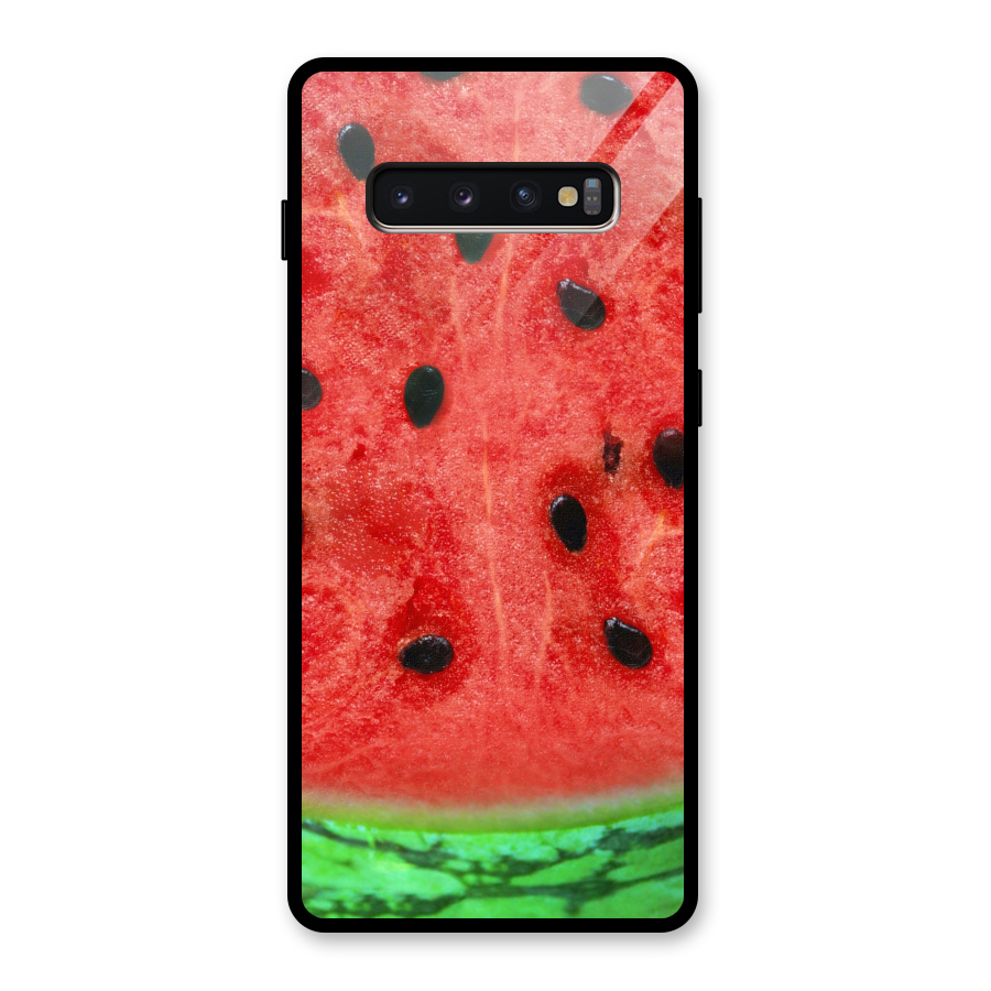 Watermelon Design Glass Back Case for Galaxy S10 Plus