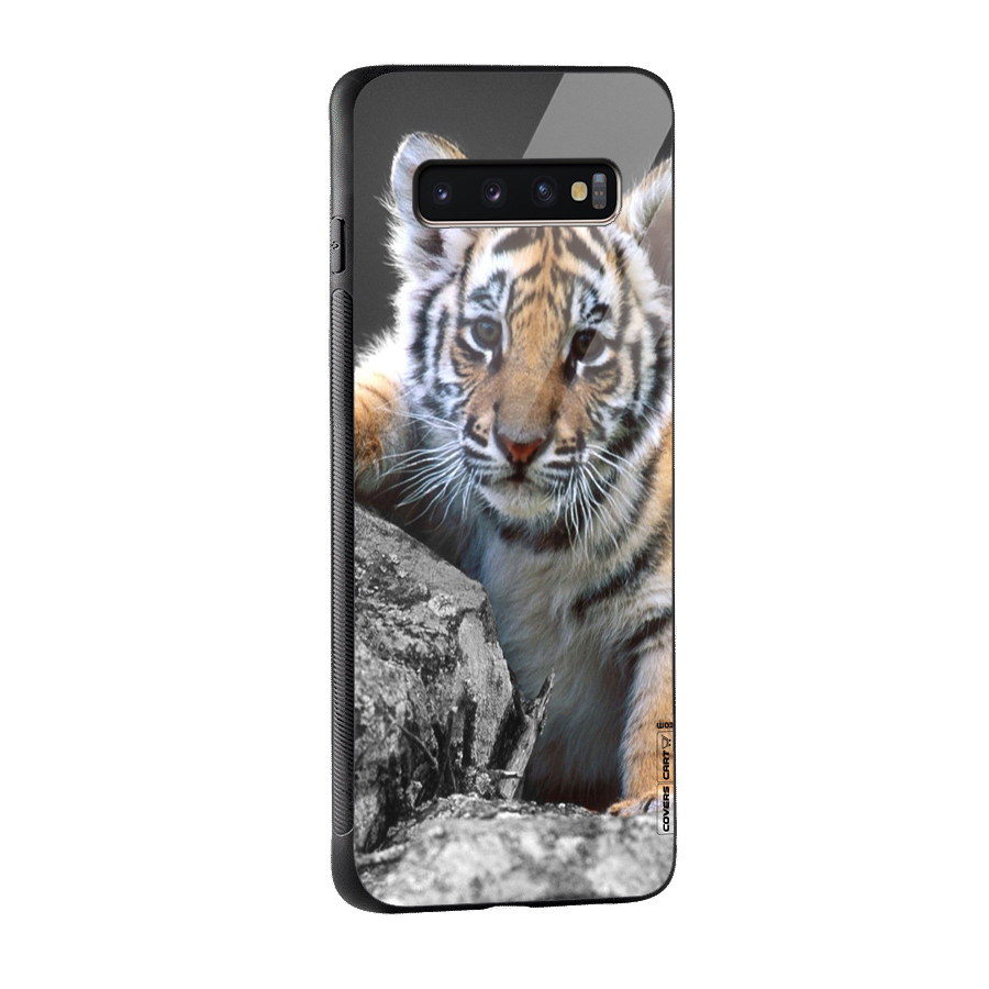 Animal Beauty Glass Back Case for Galaxy S10 Plus