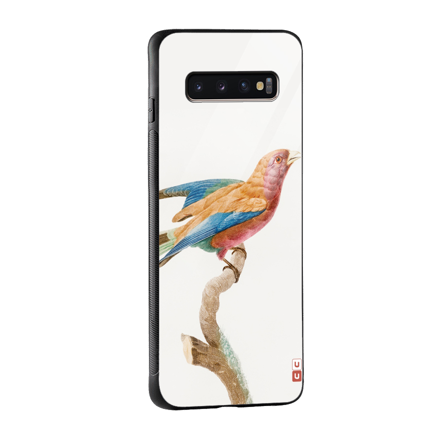 Beautiful Bird Glass Back Case for Galaxy S10 Plus