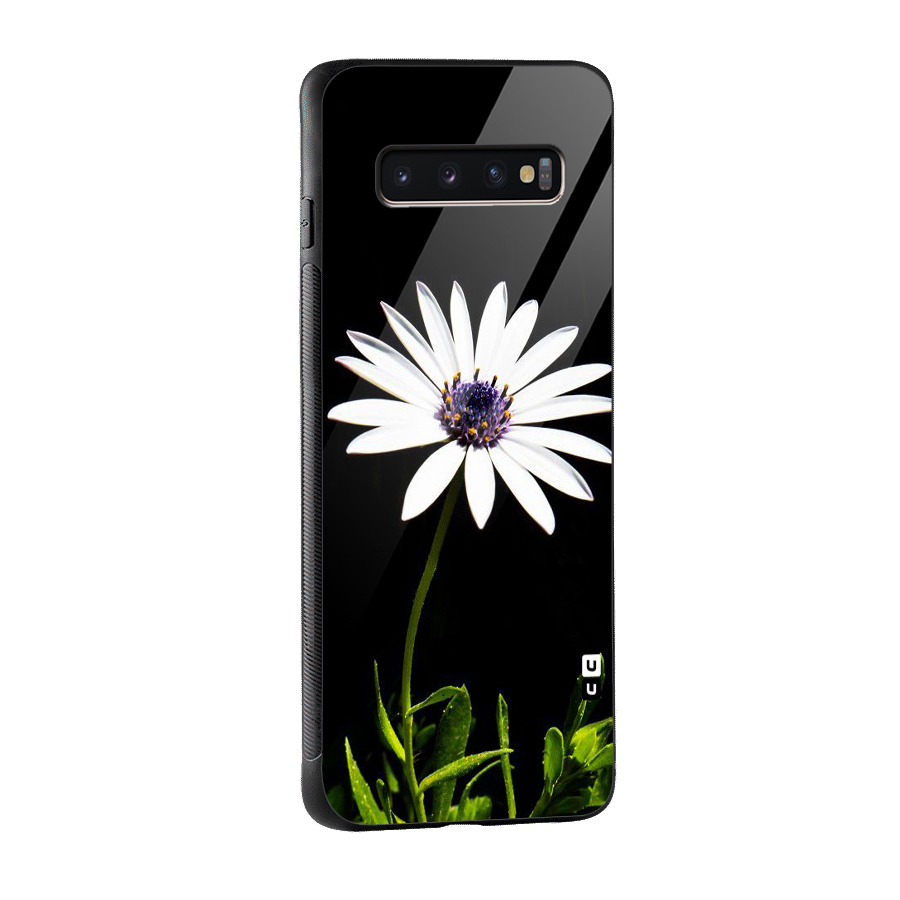 Flower White Spring Glass Back Case for Galaxy S10 Plus