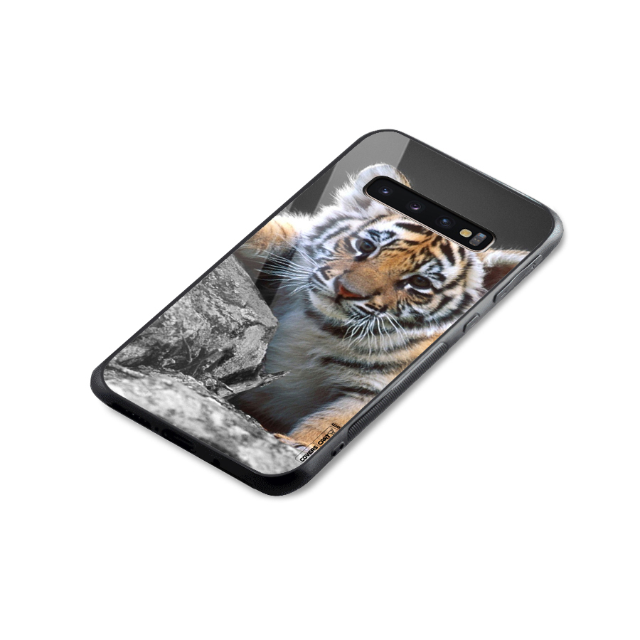 Animal Beauty Glass Back Case for Galaxy S10 Plus