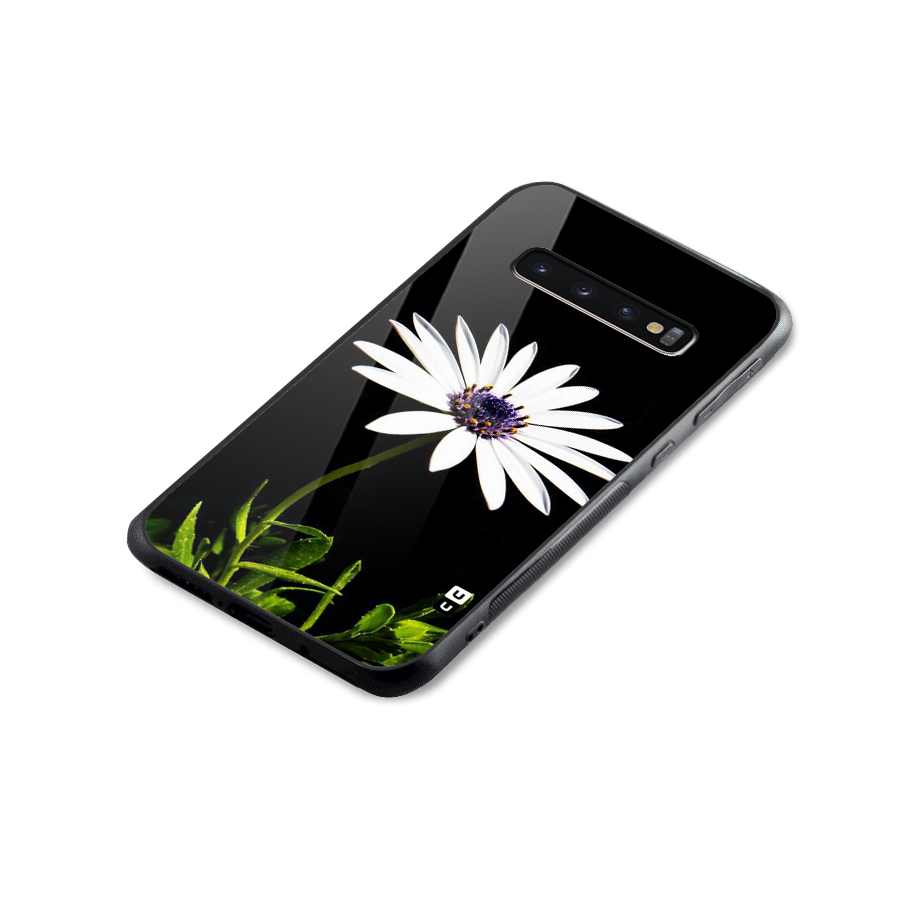 Flower White Spring Glass Back Case for Galaxy S10 Plus