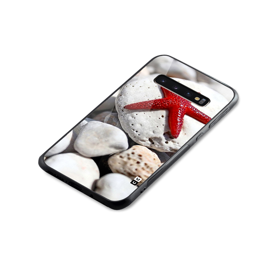 Red Star Fish Glass Back Case for Galaxy S10 Plus