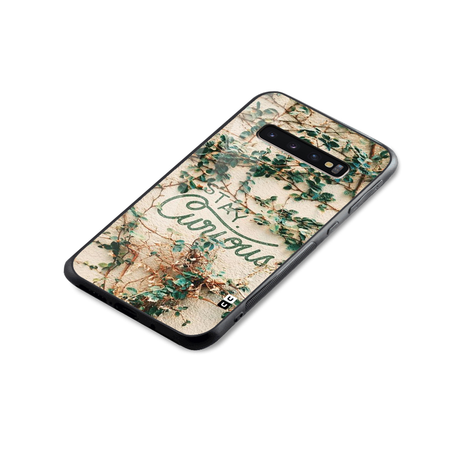 Stay Curious Glass Back Case for Galaxy S10 Plus