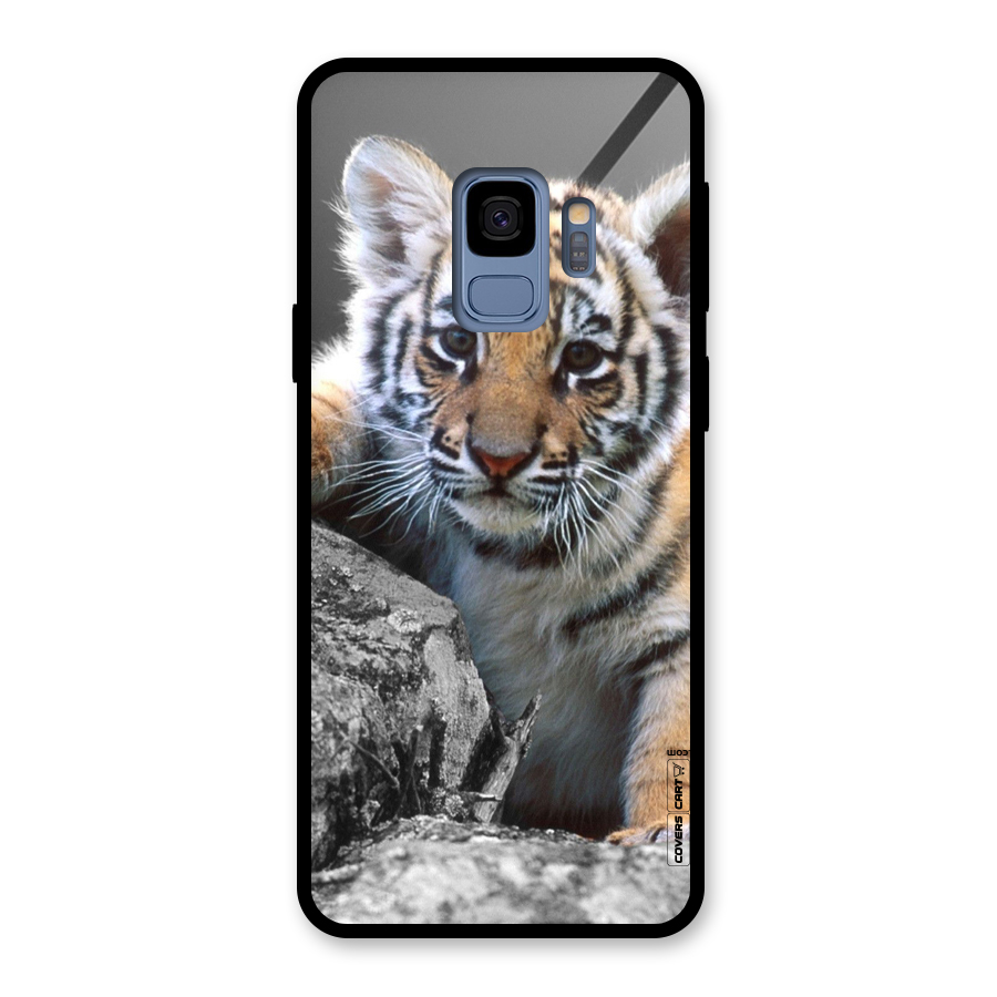 Animal Beauty Glass Back Case for Galaxy S9