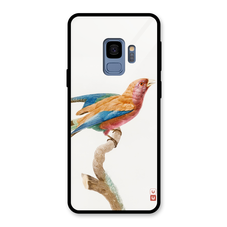 Beautiful Bird Glass Back Case for Galaxy S9
