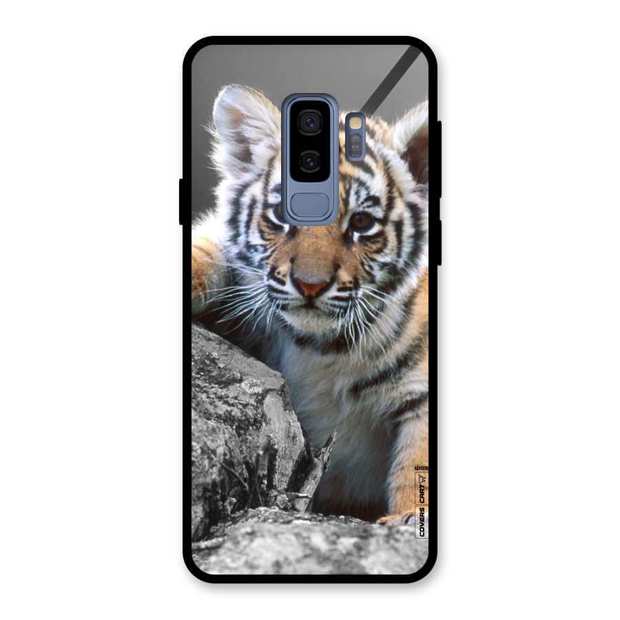 Animal Beauty Glass Back Case for Galaxy S9 Plus