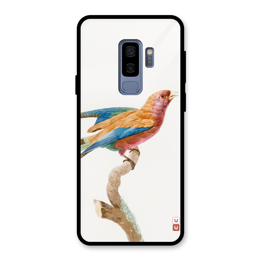 Beautiful Bird Glass Back Case for Galaxy S9 Plus
