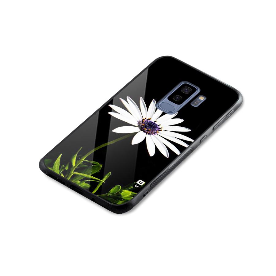 Flower White Spring Glass Back Case for Galaxy S9 Plus
