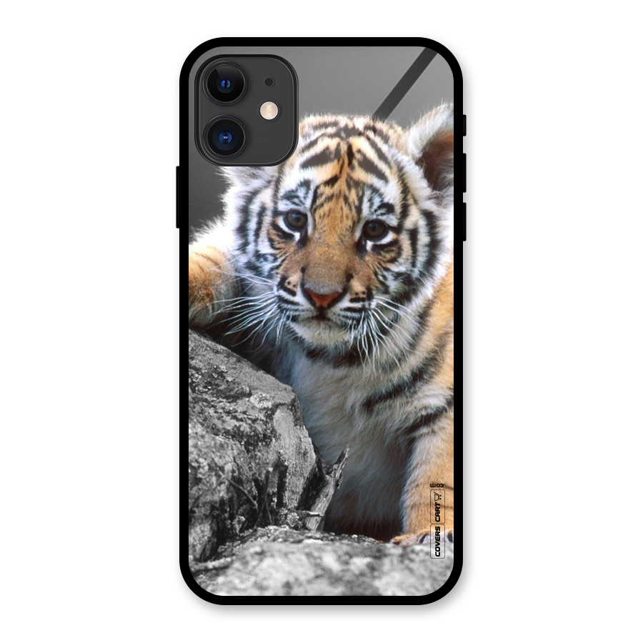 Animal Beauty Glass Back Case for iPhone 11