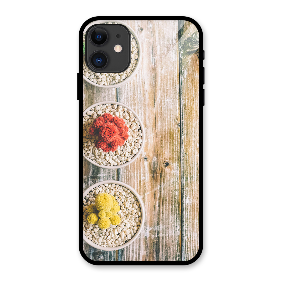 Cacti Decor Glass Back Case for iPhone 11